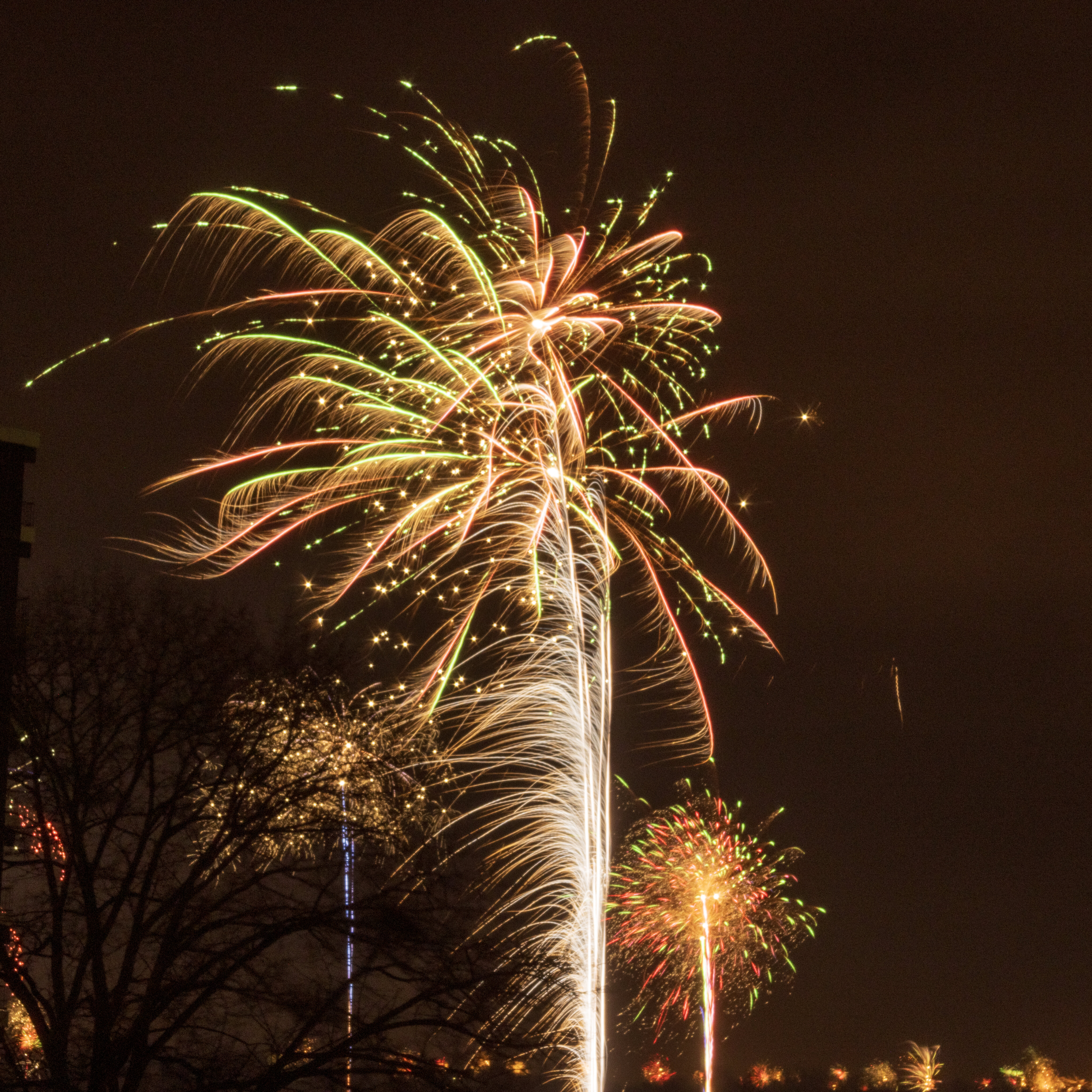 Happy New Year