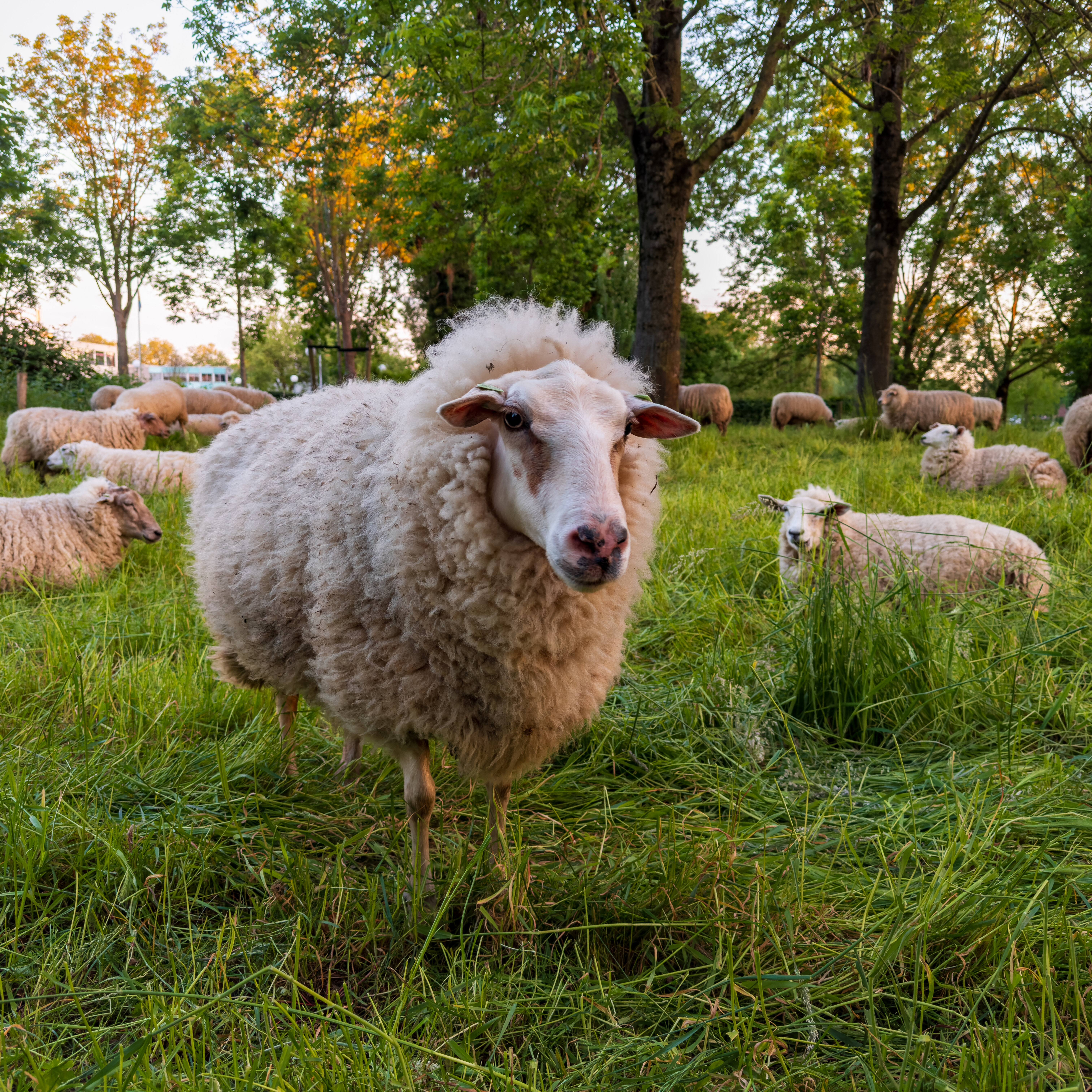 How psalm 23 becomes the foundation of my life.